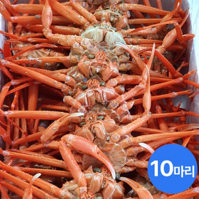 명품더조은 이미지