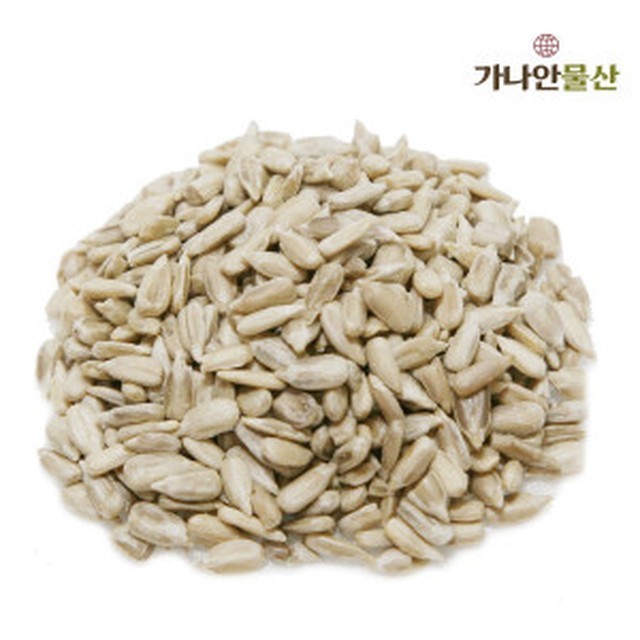 씨 이미지