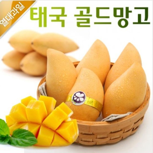 망고 이미지