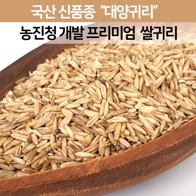 대양 이미지