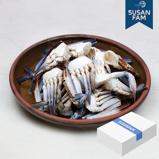 꽃게야 이미지