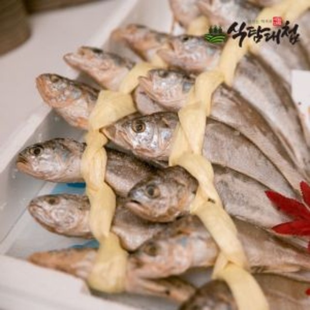 식탐 이미지