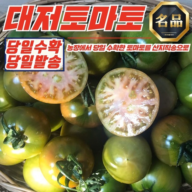 토마토 이미지