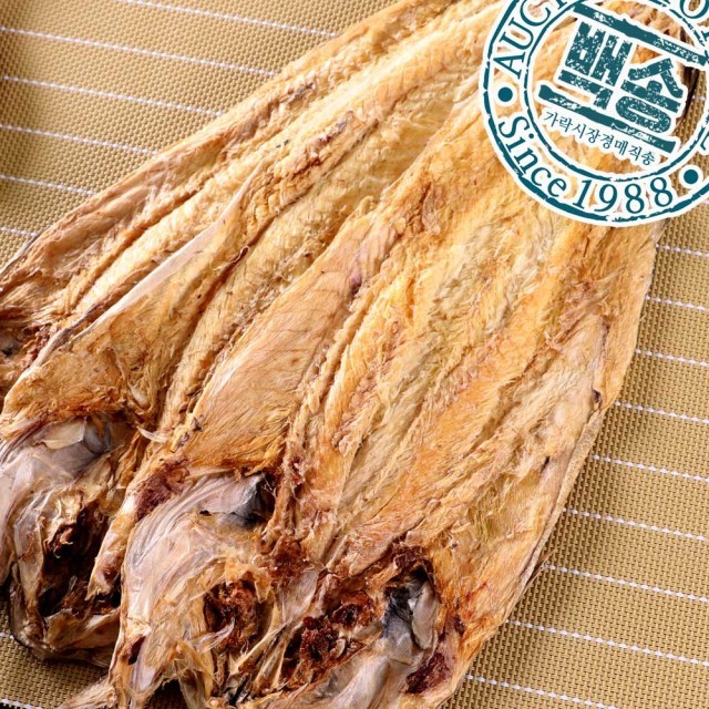 백송 이미지