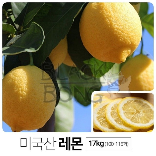 레몬 이미지