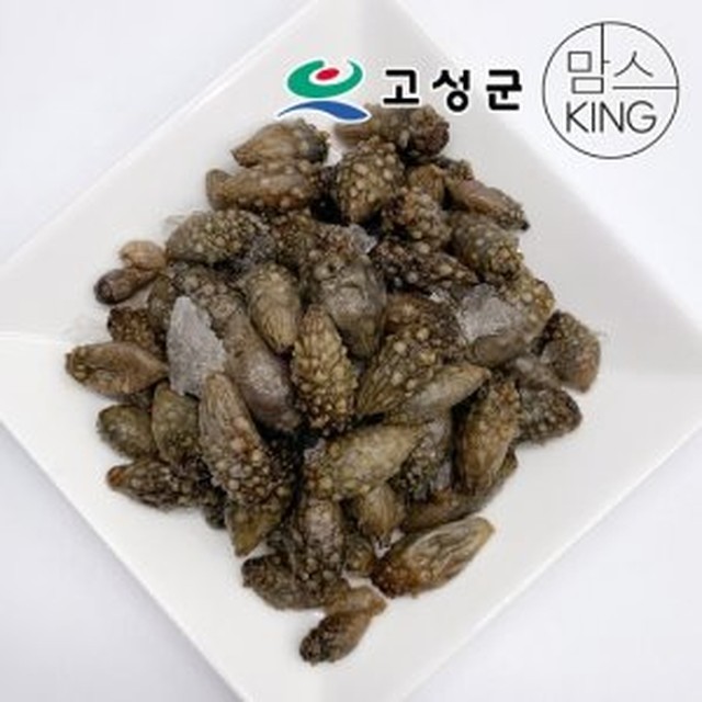 동성 이미지