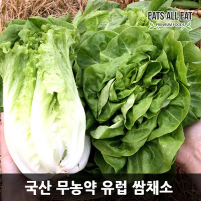 샐러드이츠 이미지