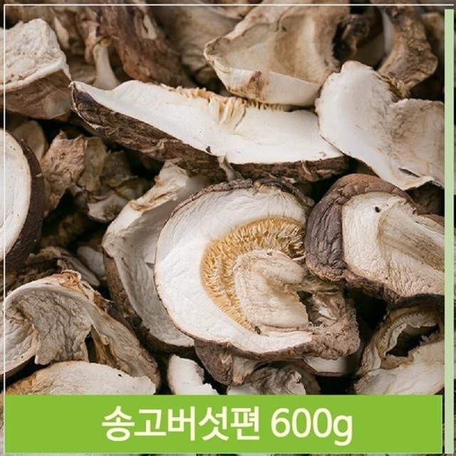 버섯 이미지