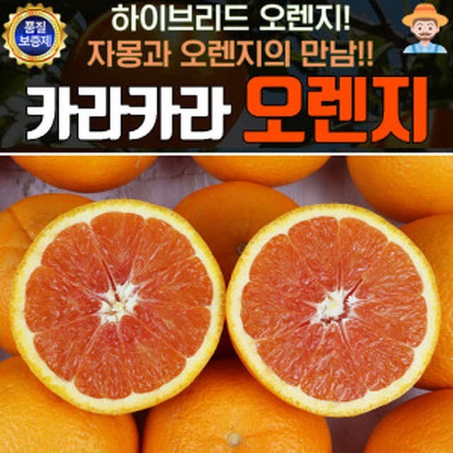 오렌지 이미지