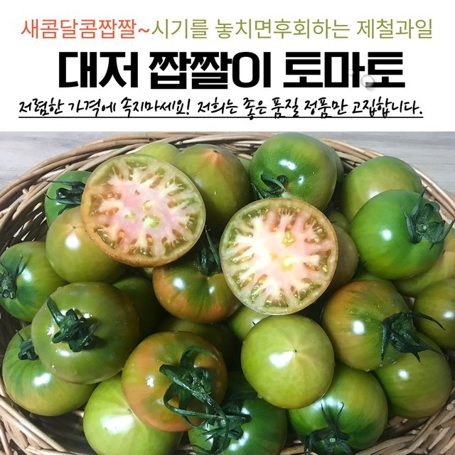 토마토 이미지