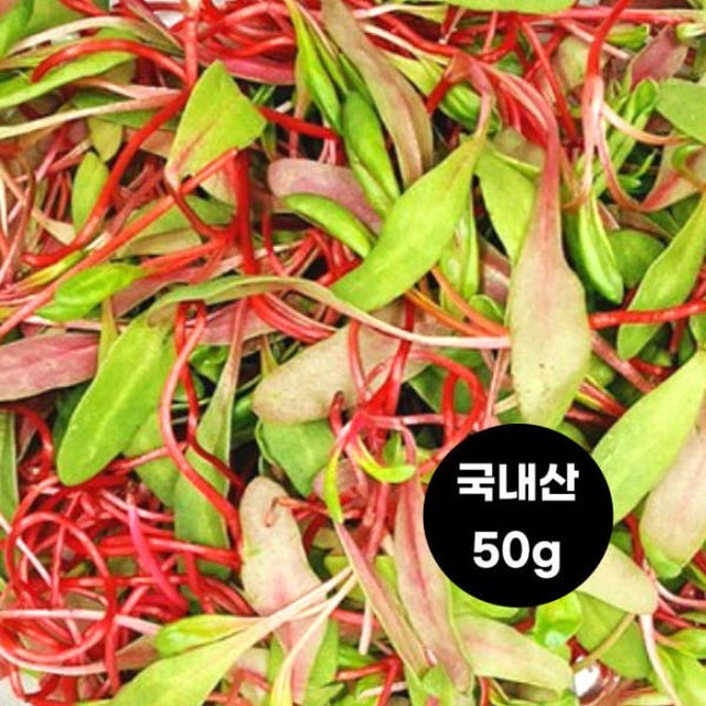 루비 이미지