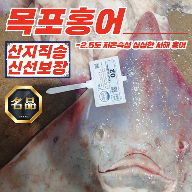 목포참홍어 이미지