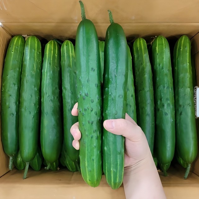 맛통령 이미지