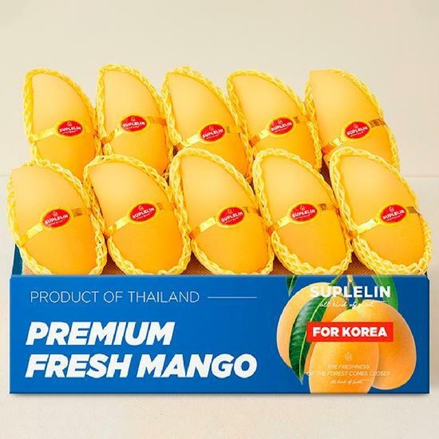 망고 이미지