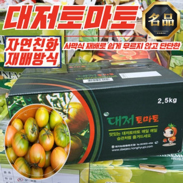 토마토 이미지
