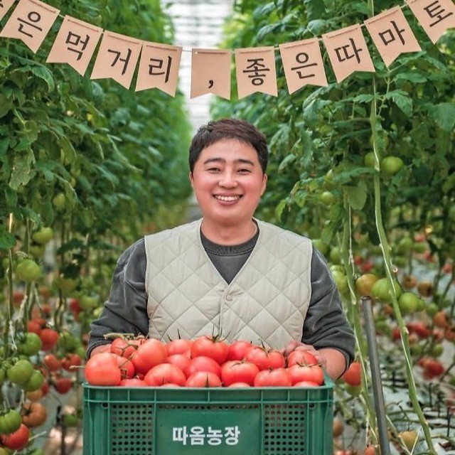 토마토 이미지