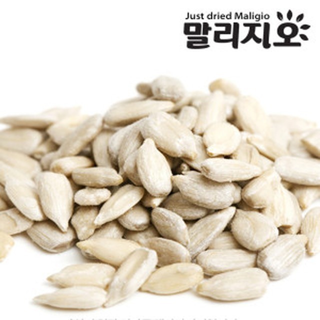 씨 이미지