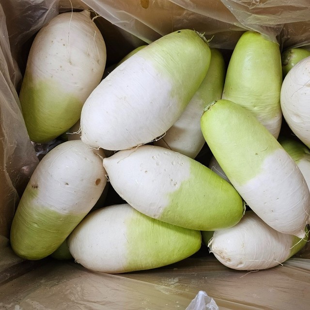 무 이미지