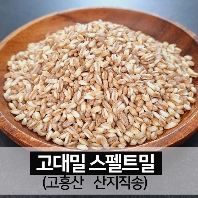 밀 이미지