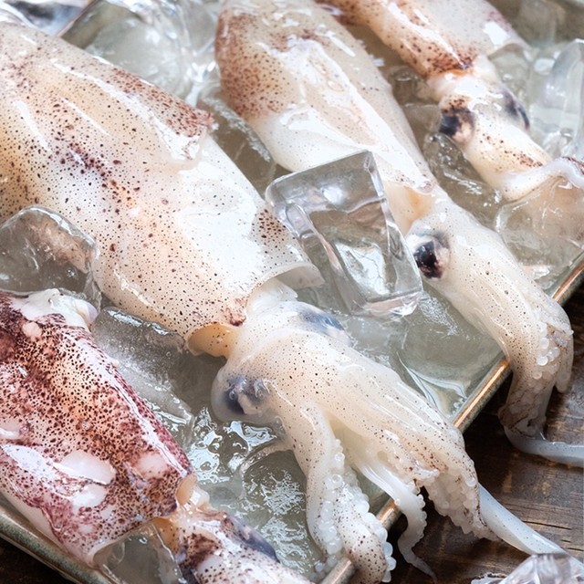 맛수러움 이미지