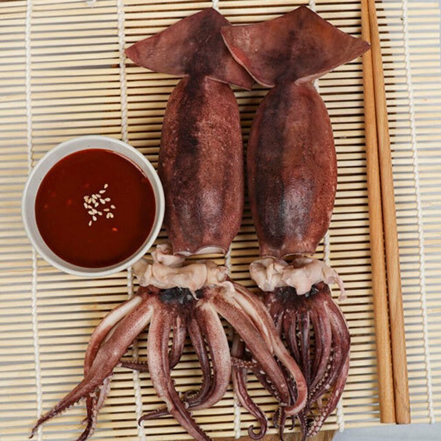 원양 이미지