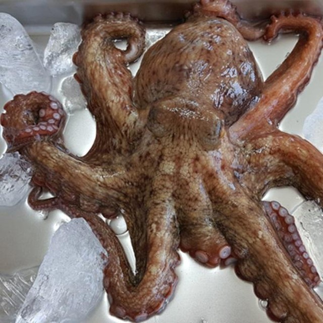 바다마켓 이미지