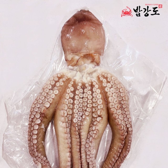 문어야 이미지