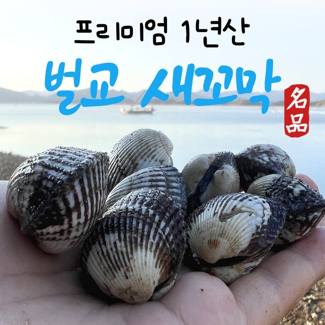 아이니즈 이미지