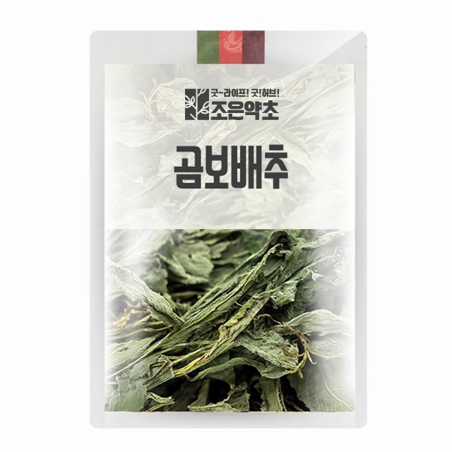 약초 이미지