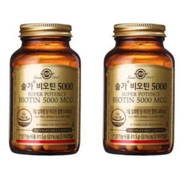 솔가 이미지