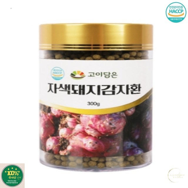 자색 이미지