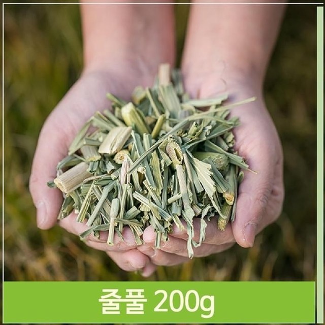 풀 이미지