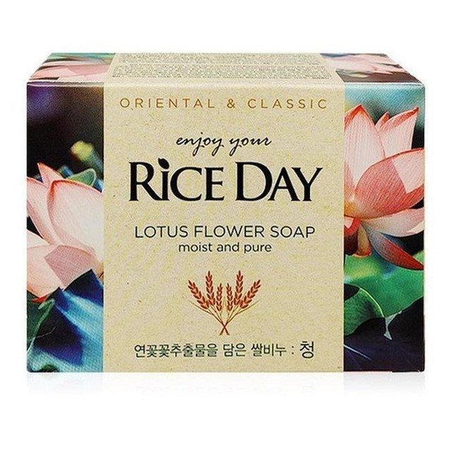 라이스데이 이미지