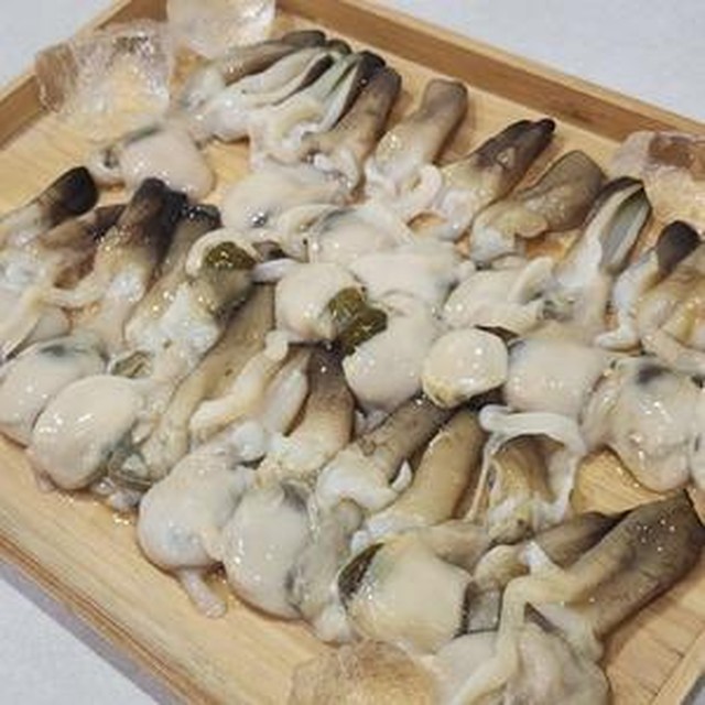 바리 이미지