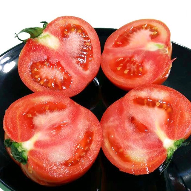 오병이어 이미지