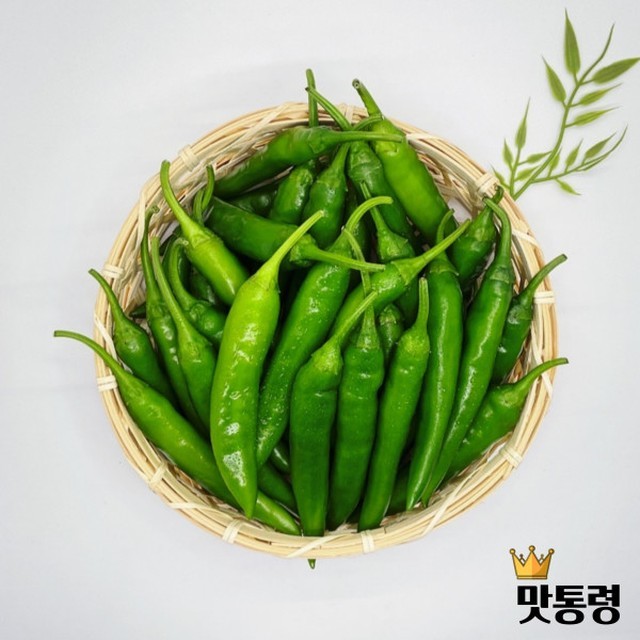맛통령 이미지