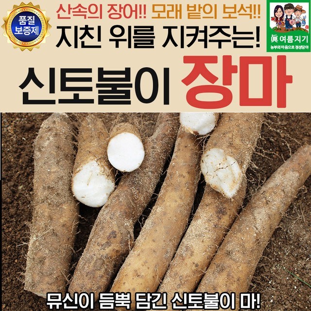 장어다 이미지