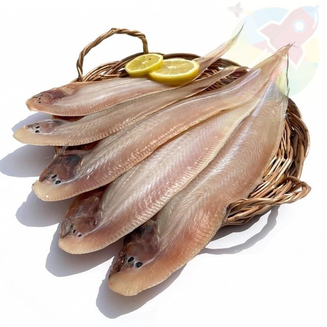 생선 이미지