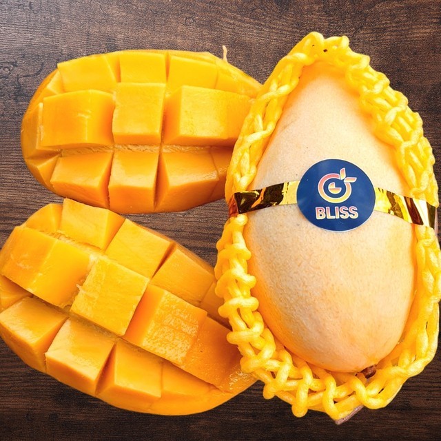 망고 이미지