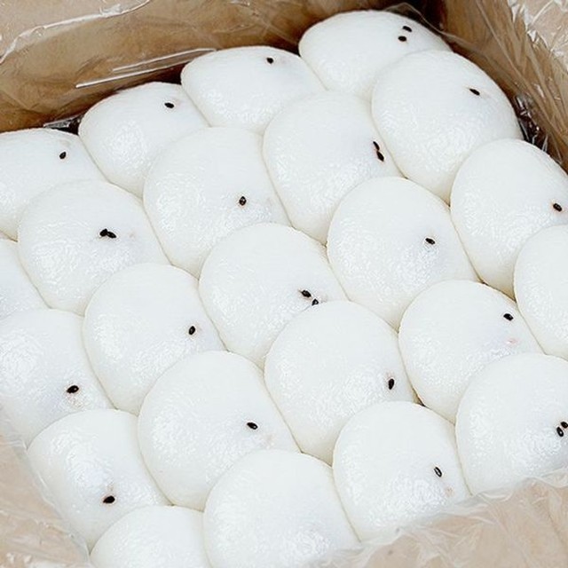 떡이랑 이미지