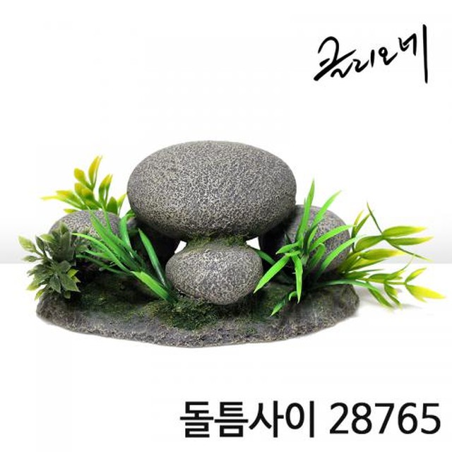 클리오네 이미지