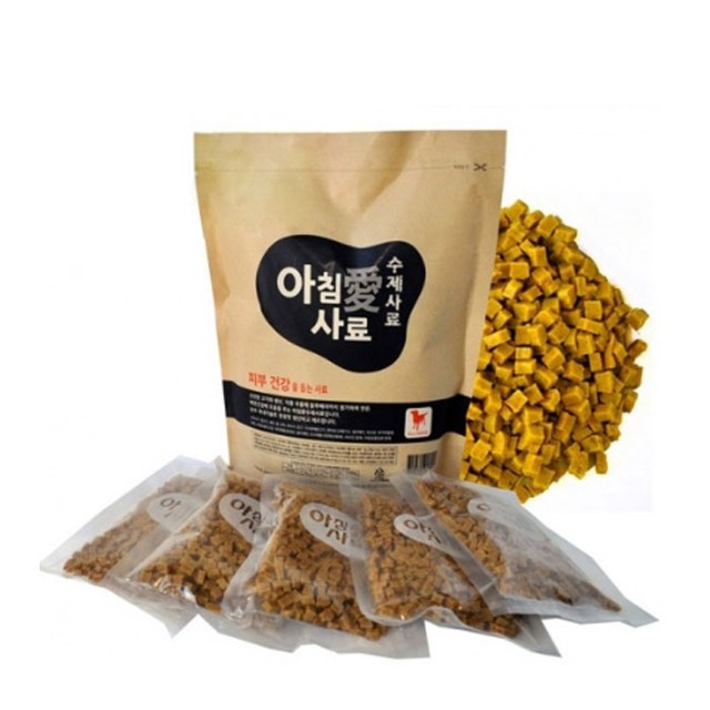 아침애 이미지
