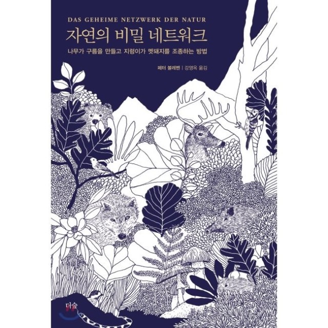 나무네트워크 이미지