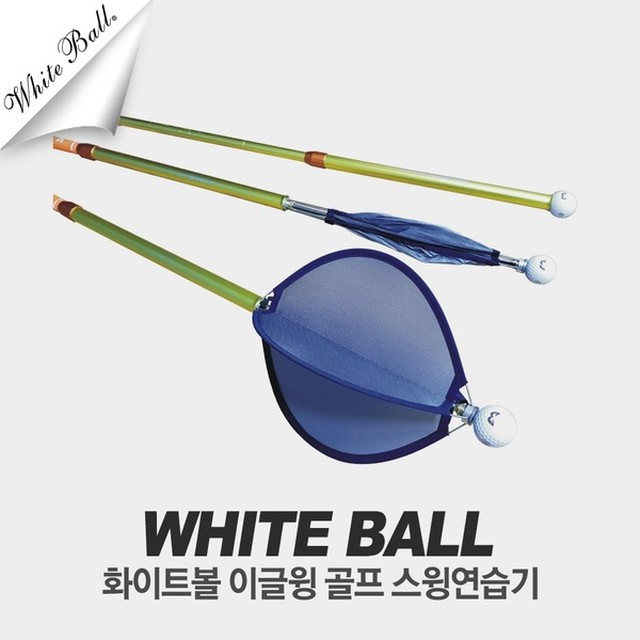 디지지에스 이미지