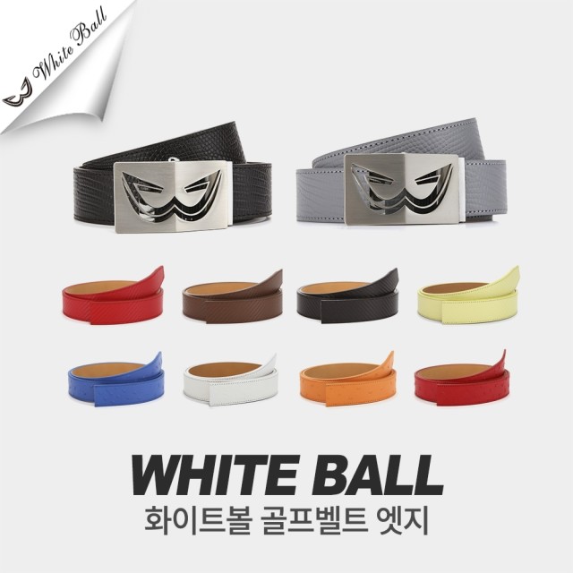 디지지에스 이미지