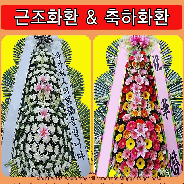 영주꽃배달 이미지