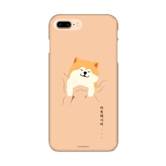 주식회사 씨앤티 이미지