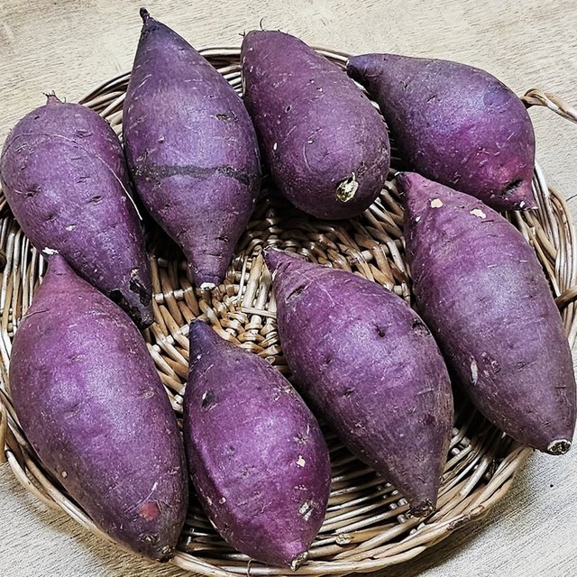 주식회사 일품 이미지