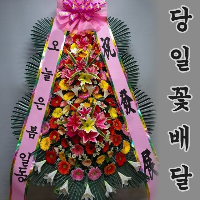 아인스웨딩&파티하우스 이미지