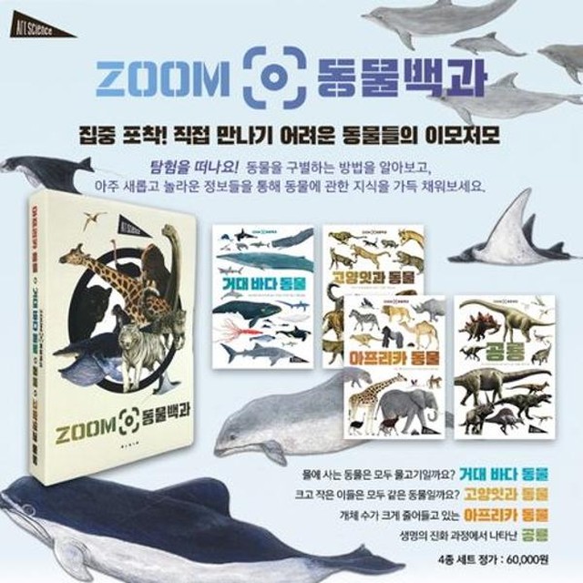 보림 이미지